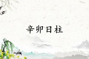 辛卯日柱三命通會精論解析