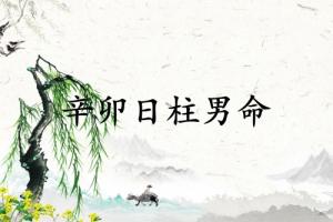 辛卯日柱男命運詳解