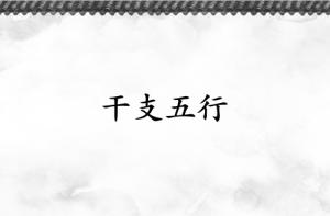 天干五行和地支五行有什么區別