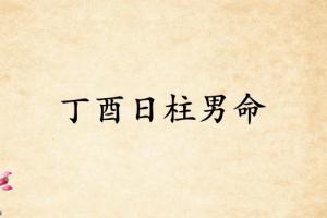 丁酉日柱男命運詳解
