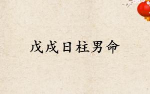 戊戌日柱男命運詳解
