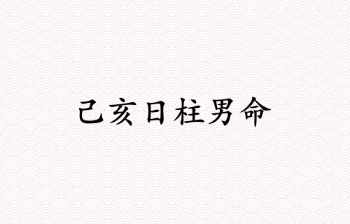 己亥日柱男命運(yùn)詳解