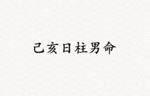 己亥日柱男命運詳解