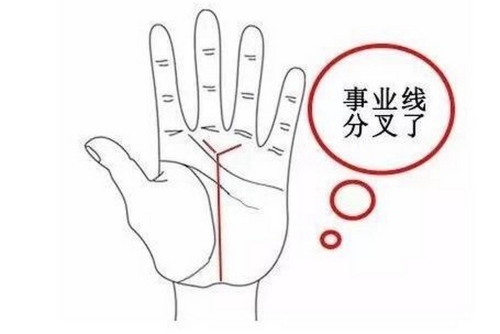事業線有分叉是什么意思