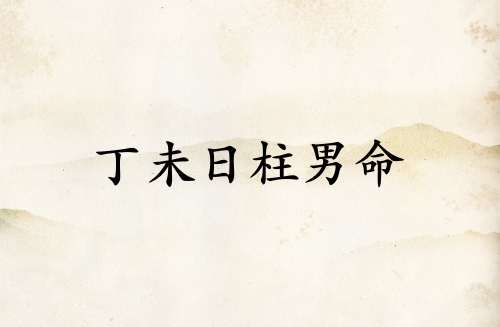 丁未日柱男命運詳解