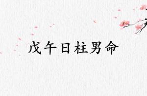戊午日柱男命運詳解