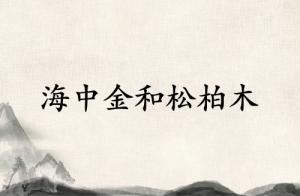 海中金和松柏木合伙做事業好嗎