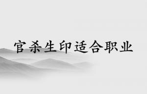 官殺生印適合什么職業