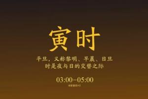 寅時對應什么臟器