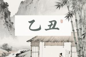 乙丑年出生的人的命運