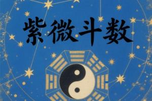 紫微斗數各星詳解表格
